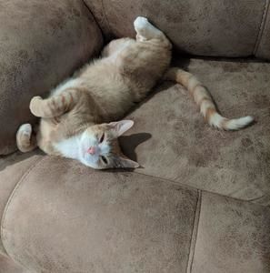 Meet your Posher, Sandra